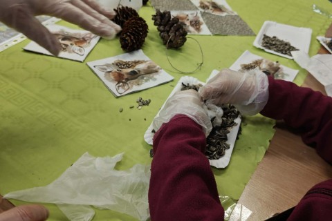 Warsztaty „Z Babcią, Dziadkiem i leśnikami - razem w trosce o ptaki”