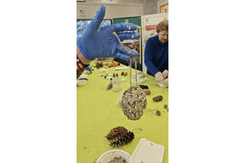 Warsztaty „Z Babcią, Dziadkiem i leśnikami - razem w trosce o ptaki”