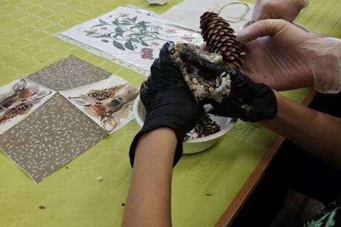 Warsztaty „Z Babcią, Dziadkiem i leśnikami - razem w trosce o ptaki”