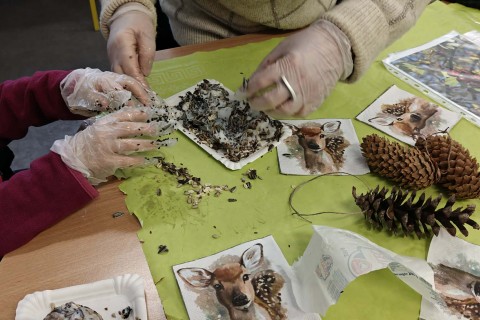 Warsztaty „Z Babcią, Dziadkiem i leśnikami - razem w trosce o ptaki”
