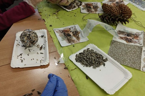 Warsztaty „Z Babcią, Dziadkiem i leśnikami - razem w trosce o ptaki”