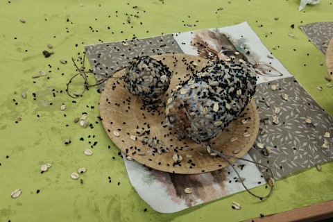 Warsztaty „Z Babcią, Dziadkiem i leśnikami - razem w trosce o ptaki”