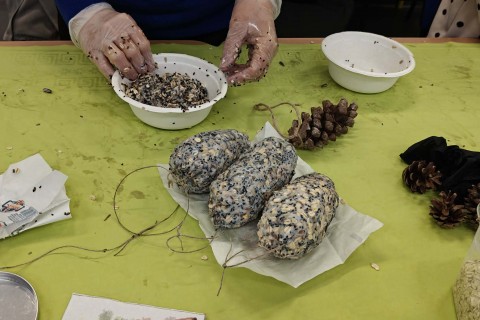 Warsztaty „Z Babcią, Dziadkiem i leśnikami - razem w trosce o ptaki”