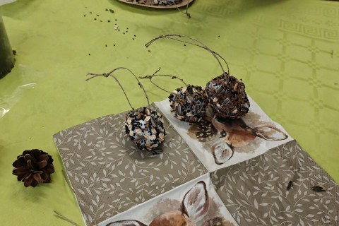 Warsztaty „Z Babcią, Dziadkiem i leśnikami - razem w trosce o ptaki”