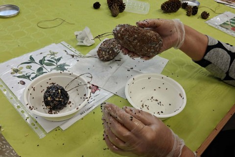 Warsztaty „Z Babcią, Dziadkiem i leśnikami - razem w trosce o ptaki”