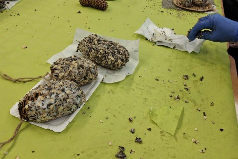 Warsztaty „Z Babcią, Dziadkiem i leśnikami - razem w trosce o ptaki”