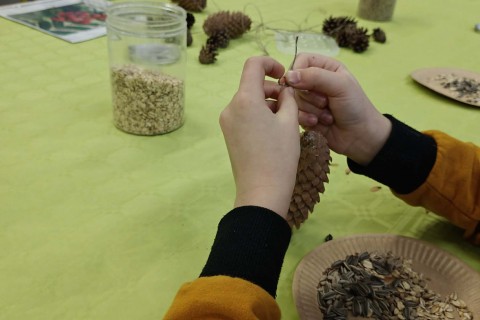 Warsztaty „Z Babcią, Dziadkiem i leśnikami - razem w trosce o ptaki”