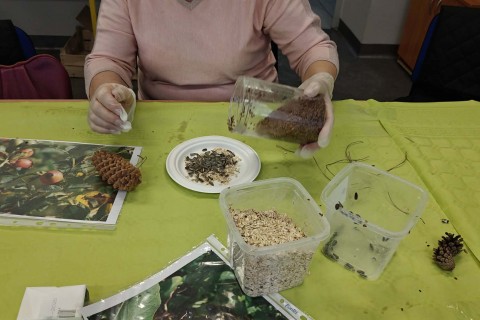 Warsztaty „Z Babcią, Dziadkiem i leśnikami - razem w trosce o ptaki”