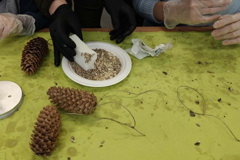 Warsztaty „Z Babcią, Dziadkiem i leśnikami - razem w trosce o ptaki”