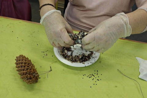 Warsztaty „Z Babcią, Dziadkiem i leśnikami - razem w trosce o ptaki”