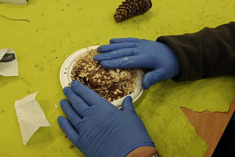 Warsztaty „Z Babcią, Dziadkiem i leśnikami - razem w trosce o ptaki”