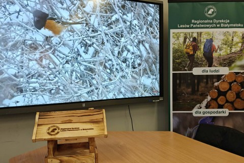 Warsztaty „Z Babcią, Dziadkiem i leśnikami - razem w trosce o ptaki”