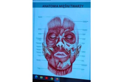 Warsztaty pielęgnacyjne: Automasaż & taping estetyczny
