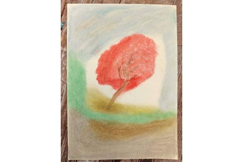 Warsztaty malarstwa dla seniorów - pejzaż rysowany pastelami