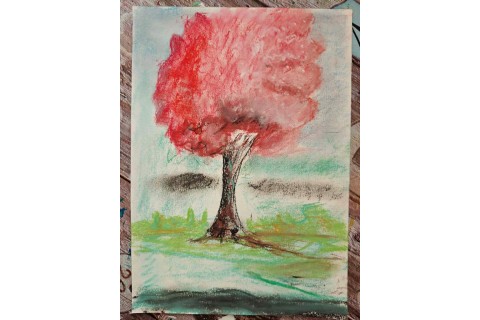 Warsztaty malarstwa dla seniorów - pejzaż rysowany pastelami