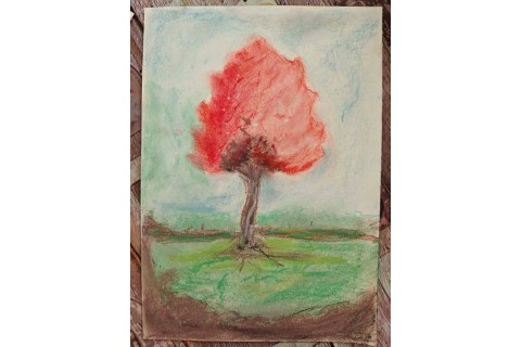 Warsztaty malarstwa dla seniorów - pejzaż rysowany pastelami