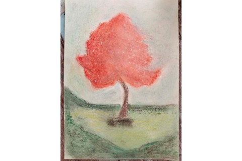 Warsztaty malarstwa dla seniorów - pejzaż rysowany pastelami