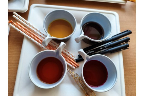 Warsztaty hortiterapeutyczne dla seniorów „Kolory, które leczą”