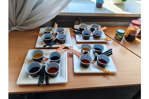 Warsztaty hortiterapeutyczne dla seniorów „Kolory, które leczą”