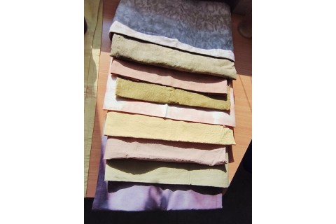 Warsztaty hortiterapeutyczne dla seniorów „Kolory, które leczą”