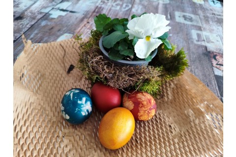 Warsztaty hortiterapeutyczne dla seniorów „Kolory, które leczą”