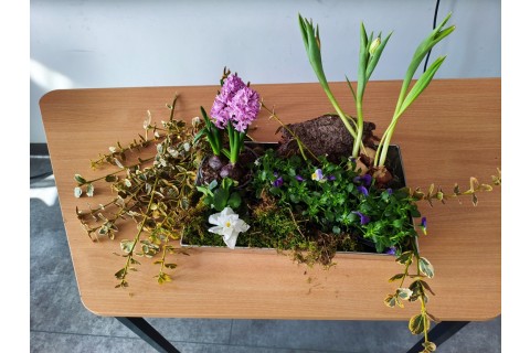 Warsztaty hortiterapeutyczne dla seniorów „Kolory, które leczą”