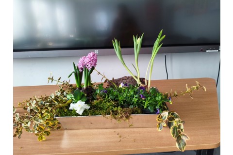 Warsztaty hortiterapeutyczne dla seniorów „Kolory, które leczą”