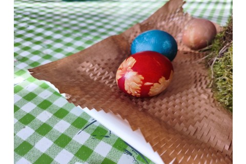 Warsztaty hortiterapeutyczne dla seniorów „Kolory, które leczą”