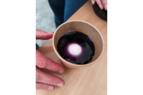 Warsztaty hortiterapeutyczne dla seniorów „Kolory, które leczą”