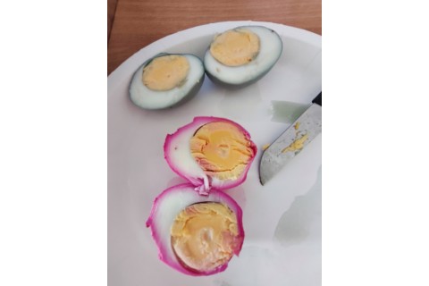 Warsztaty hortiterapeutyczne dla seniorów „Kolory, które leczą”