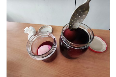 Warsztaty hortiterapeutyczne dla seniorów „Kolory, które leczą”