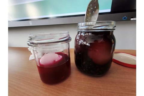 Warsztaty hortiterapeutyczne dla seniorów „Kolory, które leczą”