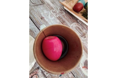 Warsztaty hortiterapeutyczne dla seniorów „Kolory, które leczą”