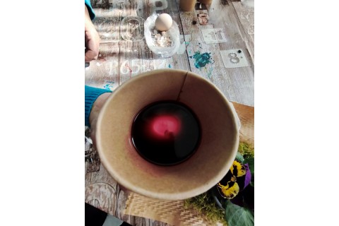 Warsztaty hortiterapeutyczne dla seniorów „Kolory, które leczą”