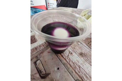 Warsztaty hortiterapeutyczne dla seniorów „Kolory, które leczą”