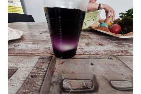 Warsztaty hortiterapeutyczne dla seniorów „Kolory, które leczą”