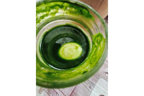 Warsztaty hortiterapeutyczne dla seniorów „Kolory, które leczą”