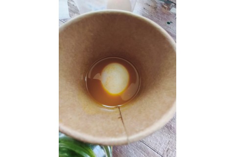 Warsztaty hortiterapeutyczne dla seniorów „Kolory, które leczą”