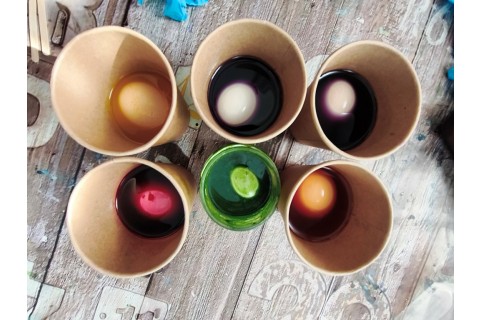 Warsztaty hortiterapeutyczne dla seniorów „Kolory, które leczą”