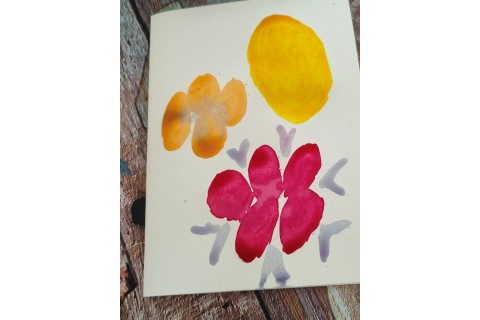 Warsztaty hortiterapeutyczne dla seniorów „Kolory, które leczą”