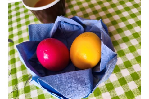 Warsztaty hortiterapeutyczne dla seniorów „Kolory, które leczą”