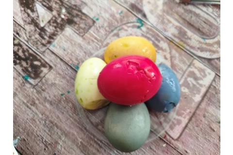 Warsztaty hortiterapeutyczne dla seniorów „Kolory, które leczą”