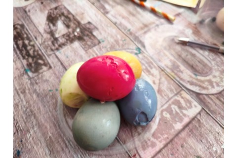 Warsztaty hortiterapeutyczne dla seniorów „Kolory, które leczą”