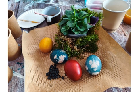 Warsztaty hortiterapeutyczne dla seniorów „Kolory, które leczą”