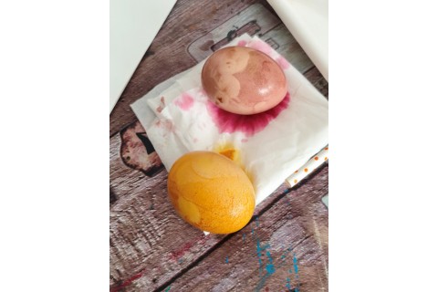 Warsztaty hortiterapeutyczne dla seniorów „Kolory, które leczą”