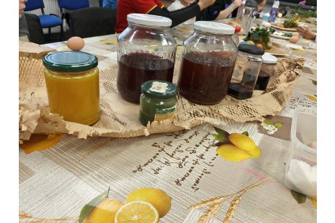 Warsztaty edukacyjno-przyrodnicze dla dzieci „Tajemnica kolorowych roślin”