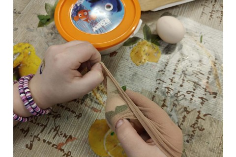 Warsztaty edukacyjno-przyrodnicze dla dzieci „Tajemnica kolorowych roślin”