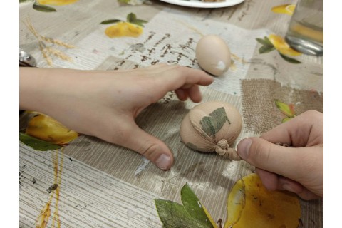 Warsztaty edukacyjno-przyrodnicze dla dzieci „Tajemnica kolorowych roślin”