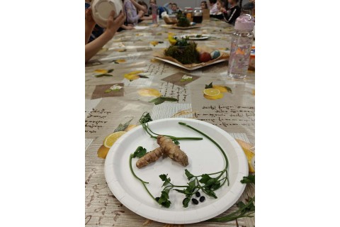 Warsztaty edukacyjno-przyrodnicze dla dzieci „Tajemnica kolorowych roślin”