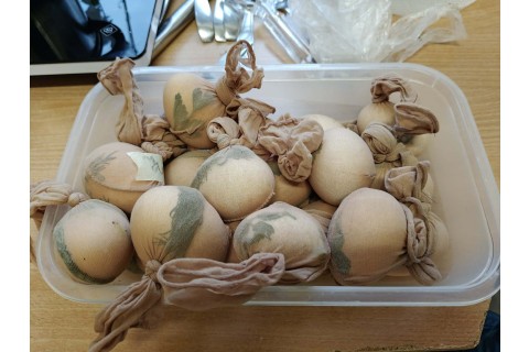 Warsztaty edukacyjno-przyrodnicze dla dzieci „Tajemnica kolorowych roślin”